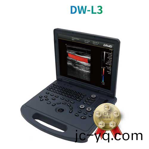 DW-L3.jpg