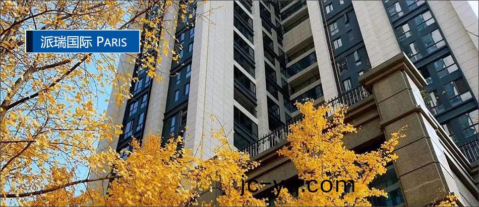 派(pai)瑞國際.jpg